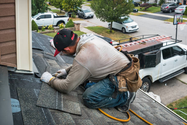 Professional Roofing technician working in Almont, CO